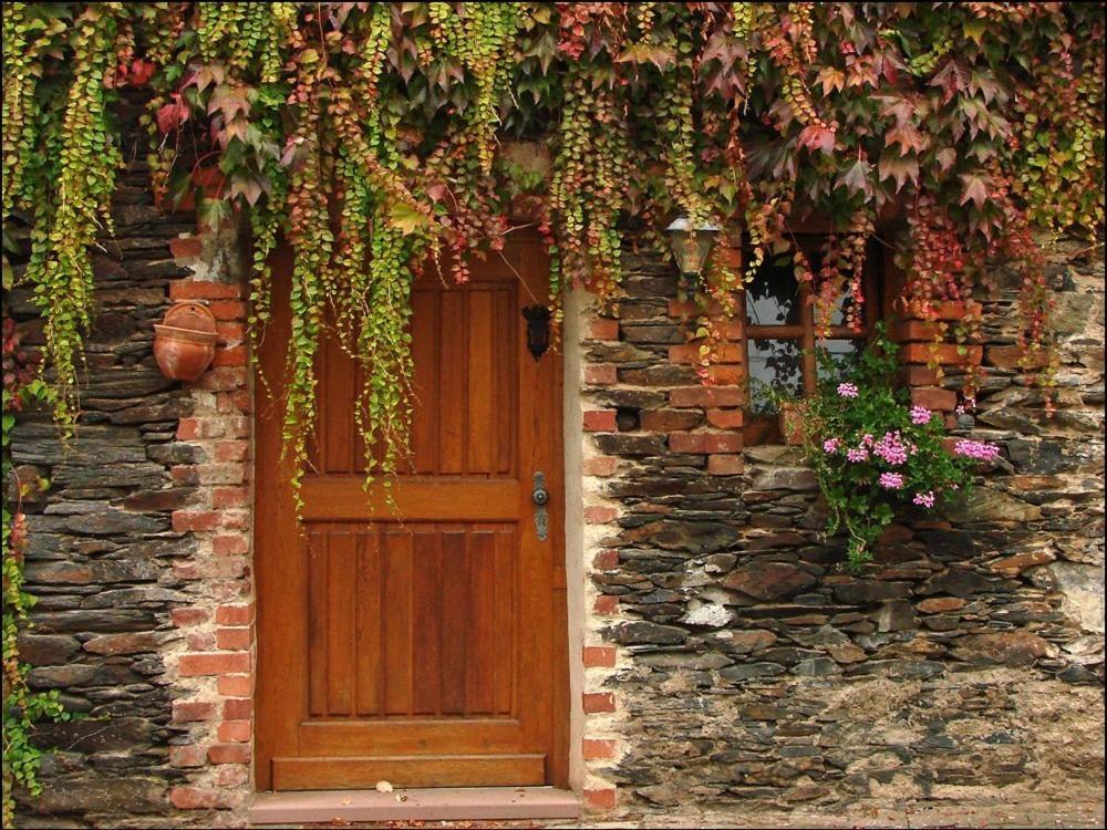 Hotel Weingut Dehren Ellenz-Poltersdorf Εξωτερικό φωτογραφία