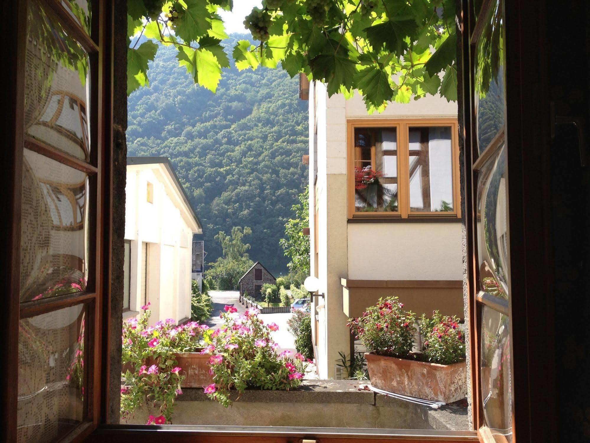 Hotel Weingut Dehren Ellenz-Poltersdorf Εξωτερικό φωτογραφία
